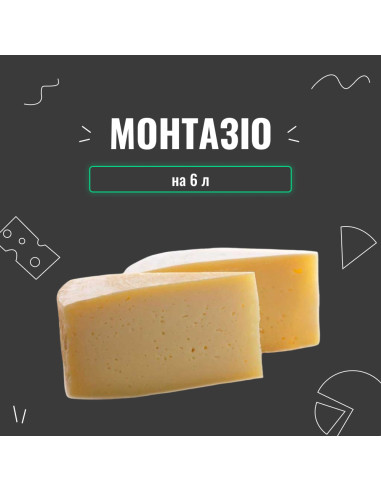 Закваска для сиру Монтазіо на 6 л