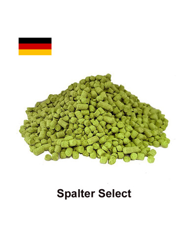 Хміль Шпальтер Селект (Spalter Select), α-5,1%