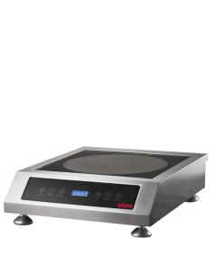 Настільна електрична плита Iplate Mona
