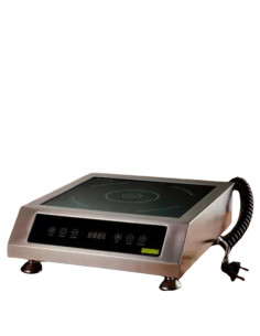 Плита Iplate Nora 3500