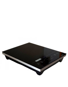 Плита індукційна iPlate YZ T24 2