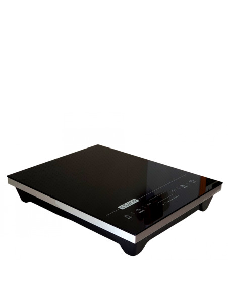 Плита индукционная iPlate YZ T24