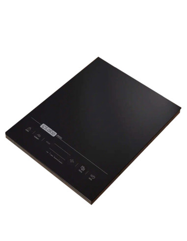 Индукционная настольная плитка iPlate T24 PRO
